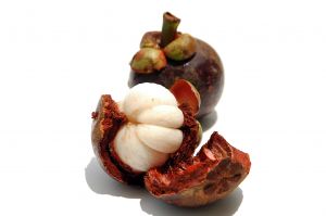 mangosteen